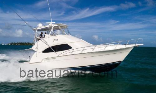Bertram 450 Convertible fiche technique et avis